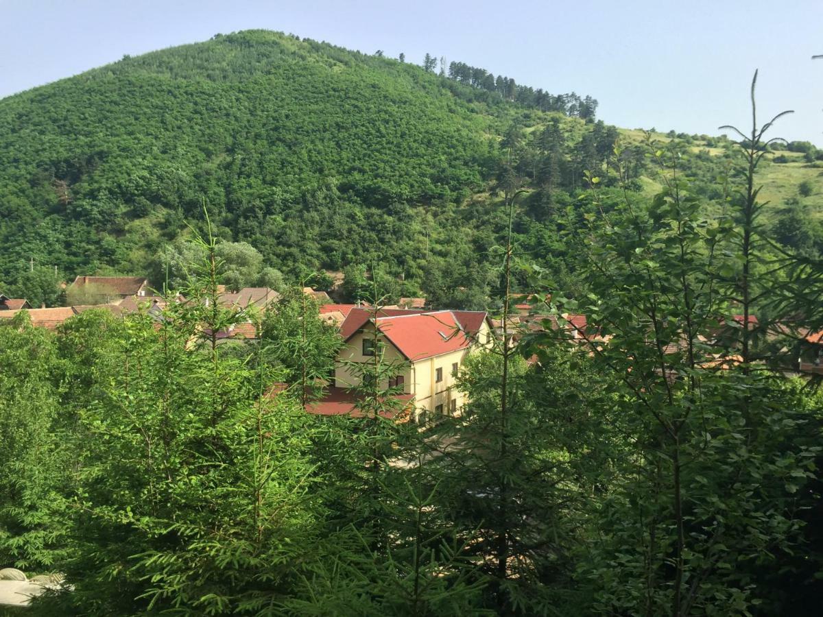 Pensiunea Domnescu Saliste  Exterior photo